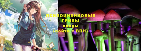 PSILOCYBIN Алексин