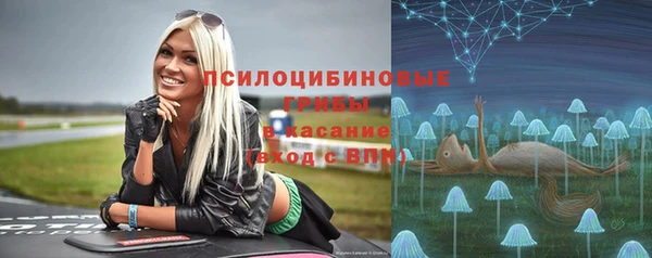 PSILOCYBIN Алексин