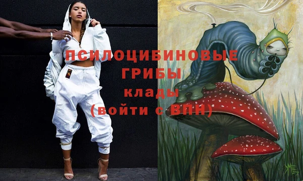 PSILOCYBIN Алексин