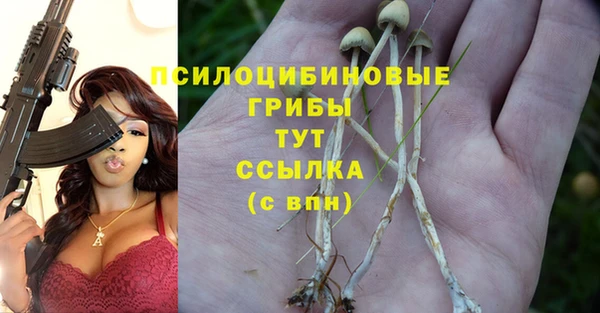 ALPHA PVP Алзамай
